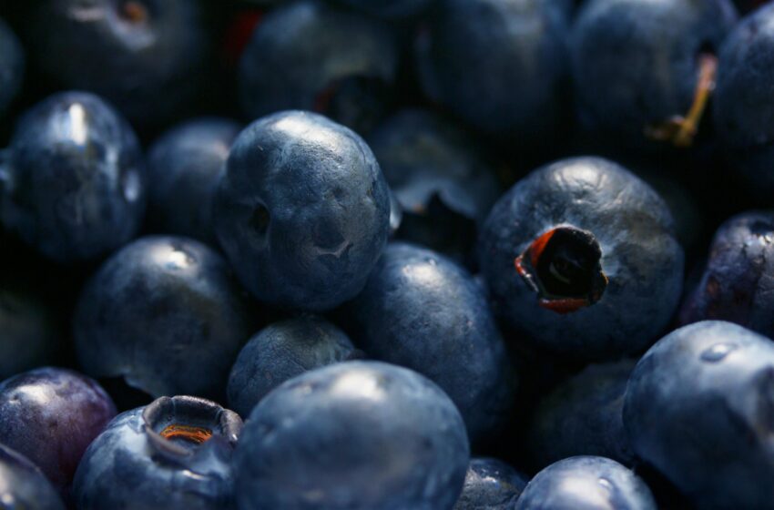  Maximizing Antioxidant Intake: Easy Ways to Incorporate More Antioxidants into Your Diet